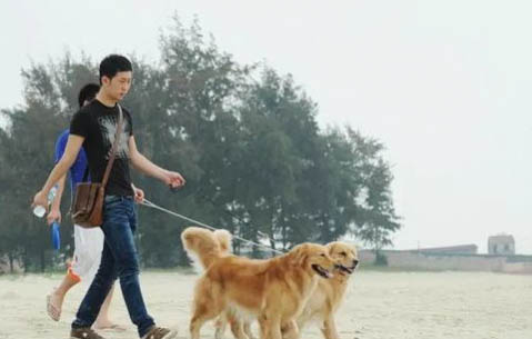 狗狗不愿意洗澡怎么辦啊