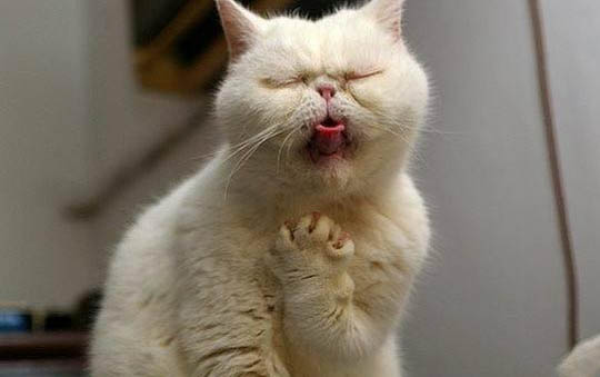 25度釣魚釣多遠合適