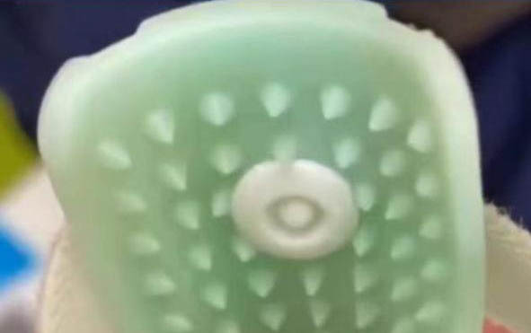 貓咪換牙期會持續多久