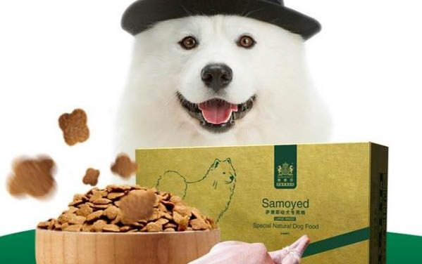 狗狗感冒嘔吐應該怎么辦