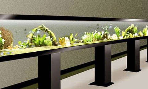 水庫釣魚調漂的正確方法