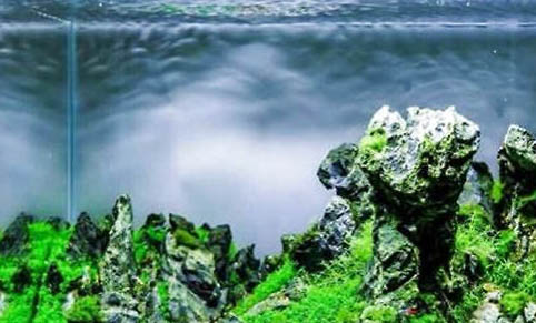 一米二魚缸需要放幾粒土霉素