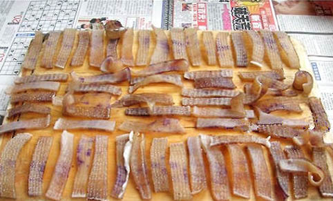 十大適合家養的小型犬