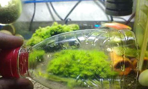 熱帶魚糧怎么樣