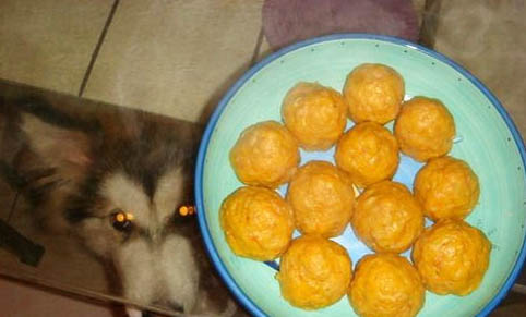 口罩自制狗狗內褲的方法