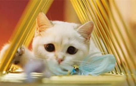 1到12個月金漸層變化