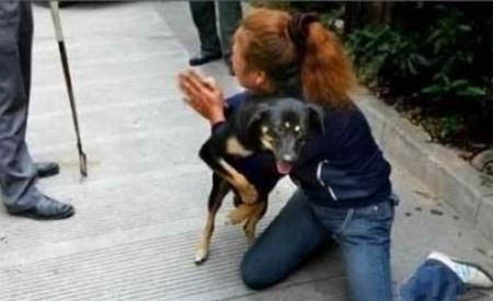 為什么狗狗沒精神突然不理人