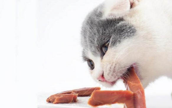 小貓為什么一直流眼淚