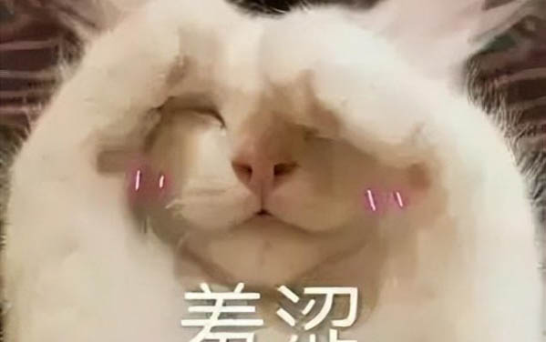 母貓會發現少了小貓嗎?
