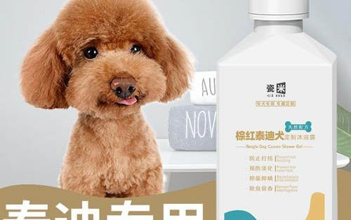 狗狗能不能吃海苔餅干