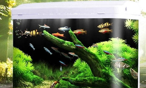 魚缸抽水器的使用方法