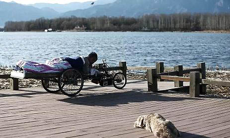 狗狗的腸胃炎死亡征兆?