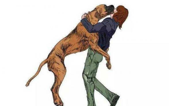 如何分辨小狗是不是土狗
