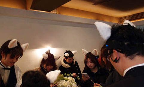 為什么不讓貓咪吃生肉呢