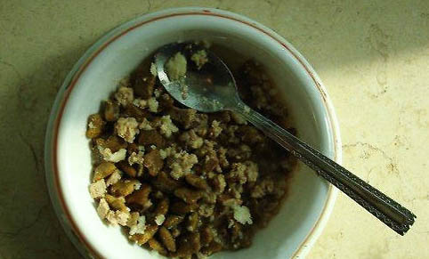 十種簡單的自制貓咪食譜