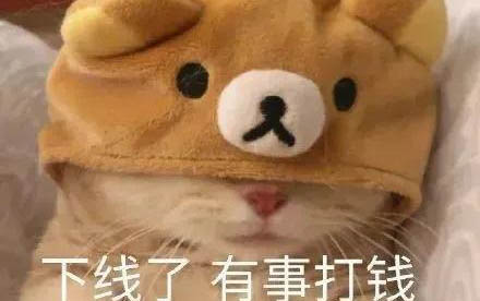 貓貓發燒都有哪些癥狀