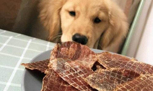 狗狗可不可以吃西瓜