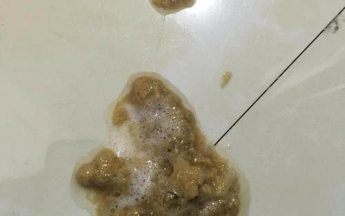 貓咪流食怎么辦？