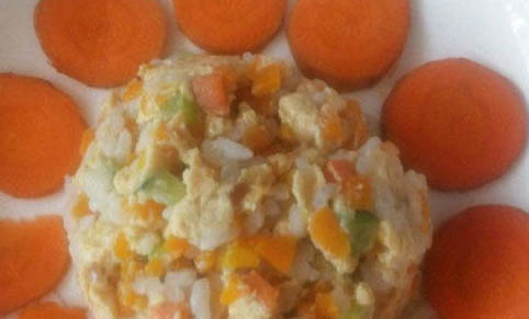 自制貓飯如何保存