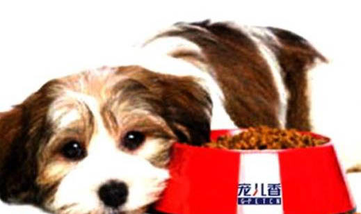 引起狗狗腹水的原因有哪些