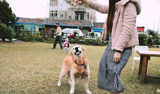 狗狗舔地板還嘔吐拉稀怎么辦