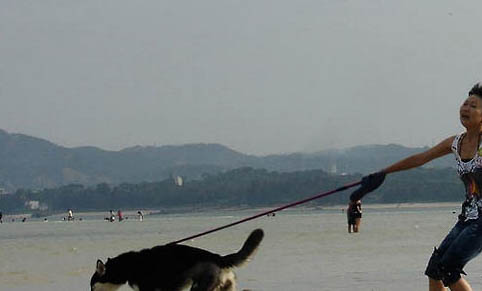 遛狗需要遛多久?