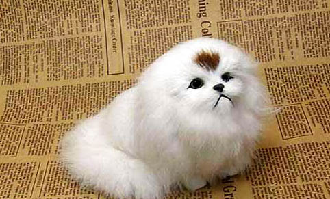 京巴狗的智商高嗎