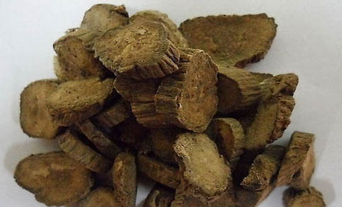 請問貓咪嘔吐的原因及處理方法？