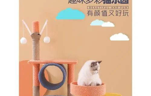 貓咪疥蟲皮膚病癥狀