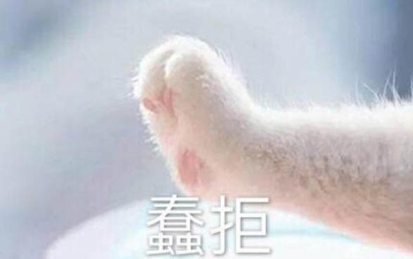 小貓老打噴嚏但精神很好是什么原因啊？