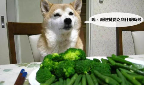 狗狗四腳朝天扭動的原因及處理方法