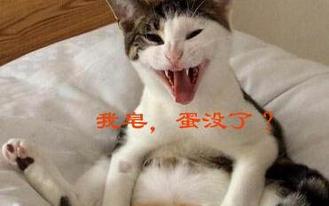 狗狗體外驅(qū)蟲前要洗澡嗎